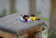گزارش تصویری آزمون کارشناسی 1402